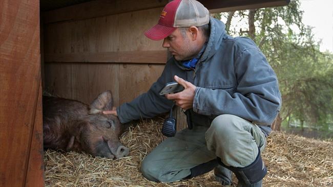 New doc chronicles how a California farming oasis came to be | iNFOnews.ca