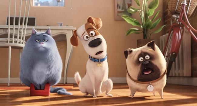 Review: Pet lovers will delight in 'Secret Life of Pets' | iNFOnews.ca Review: Pet lovers will delight in 'Secret Life of Pets' | iNFOnews.ca