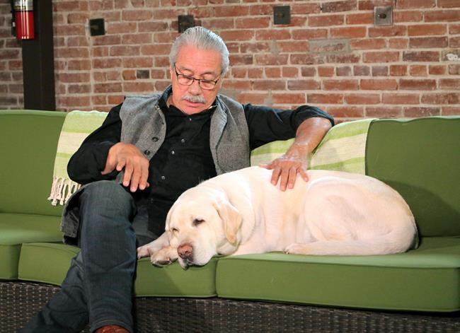 Edward James Olmos wants pet owners to stay home July 4 | iNFOnews.ca