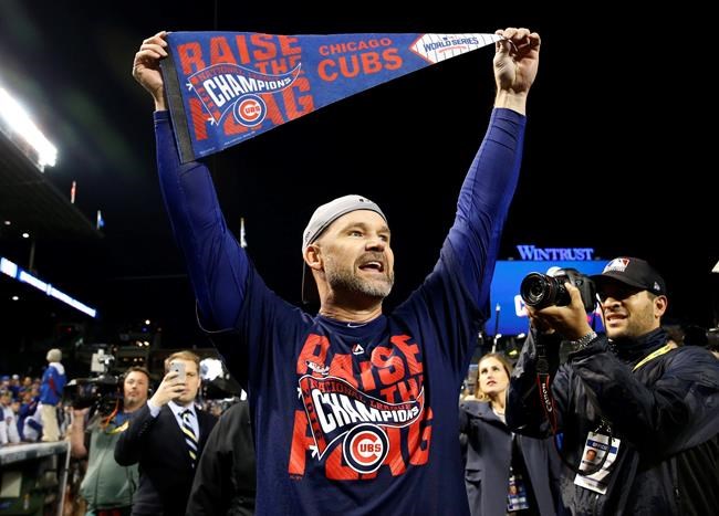 Victory lap: Cubs' David Ross is working on a memoir | iNFOnews.ca
