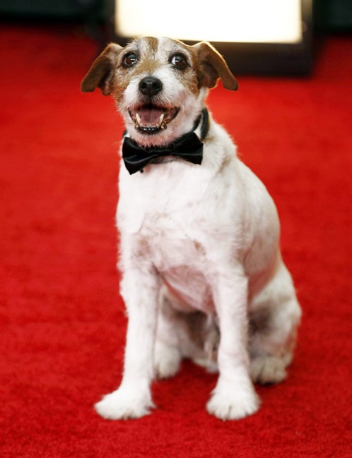 Canine actor Uggie, known for role in Oscar-winning movie 'The Artist,' dies in Los Angeles | iNFOnews.ca Canine actor Uggie, known for role in Oscar-winning movie 'The Artist,' dies in Los Angeles | iNFOnews.ca