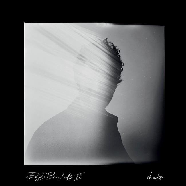 Review: Doyle Bramhall II raises the bar on varied 'Shades' | iNFOnews.ca