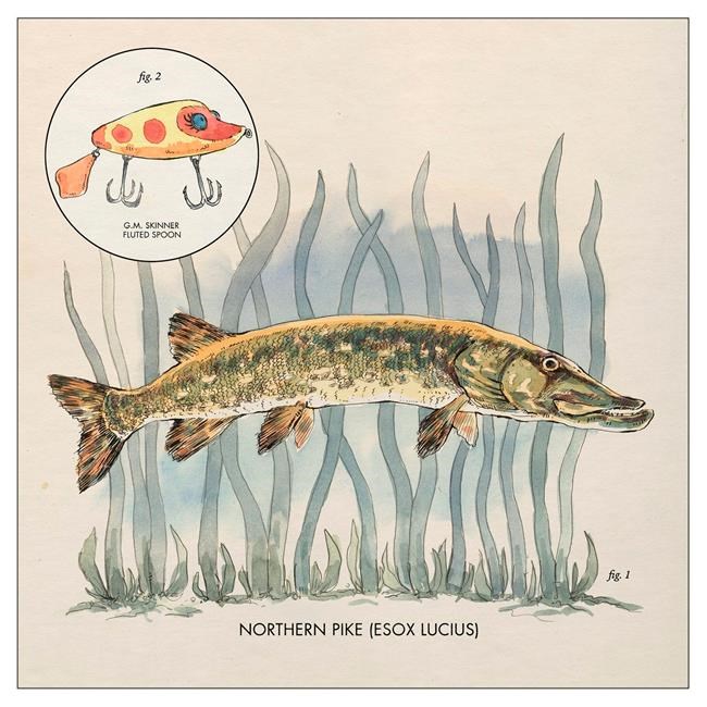 Review: Nick Lowe's sardonic duality on display on new EP | iNFOnews.ca Review: Nick Lowe's sardonic duality on display on new EP | iNFOnews.ca