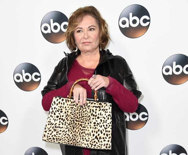 Roseanne Barr return possible, but lesser platform likely | iNFOnews.ca Roseanne Barr return possible, but lesser platform likely | iNFOnews.ca