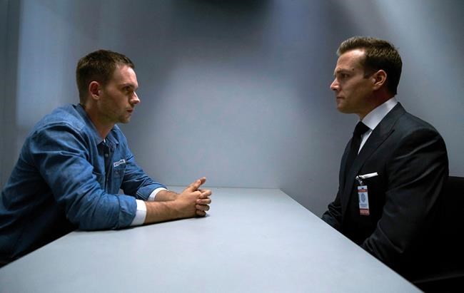 'Suits' gets seventh-season renewal from USA Network | iNFOnews.ca