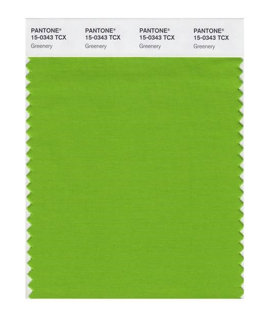 Pantone Color Institute's colour of the year is 'greenery' | iNFOnews.ca
