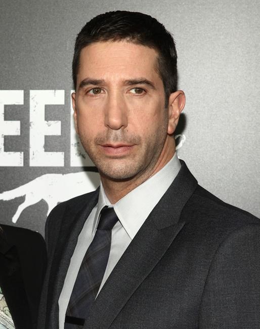 David Schwimmer confronts sex harassment in new campaign | iNFOnews.ca