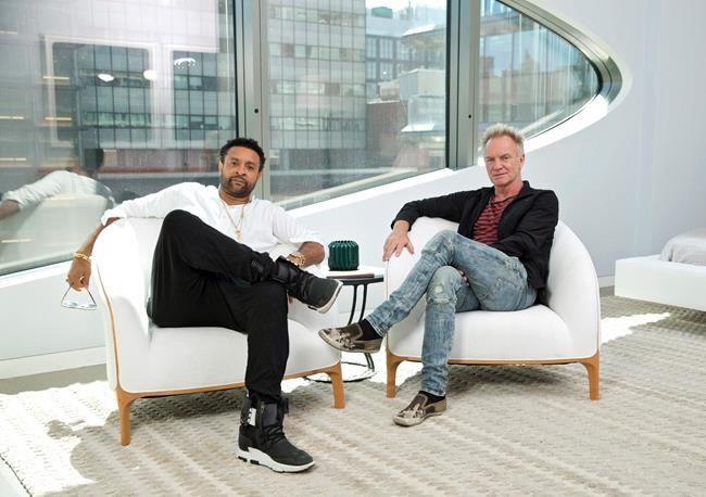 Sting and Shaggy share chemistry, on and off their new CD | iNFOnews.ca