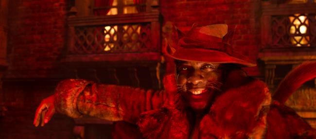 Review: Forget CGI. Dench is the special effect in 'Cats' | iNFOnews.ca