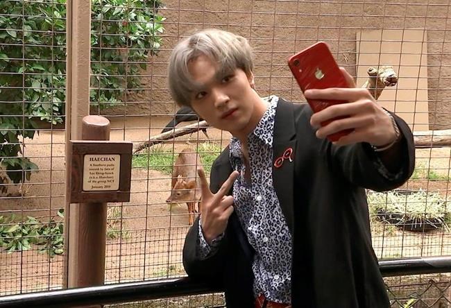 Haechan meets Haechan: K-pop star honoured with zoo namesake | iNFOnews.ca Haechan meets Haechan: K-pop star honoured with zoo namesake | iNFOnews.ca