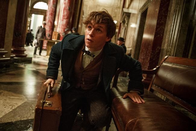 Box Office Top 20: 'Fantastic Beasts' summons $74.4 million | iNFOnews.ca Box Office Top 20: 'Fantastic Beasts' summons $74.4 million | iNFOnews.ca