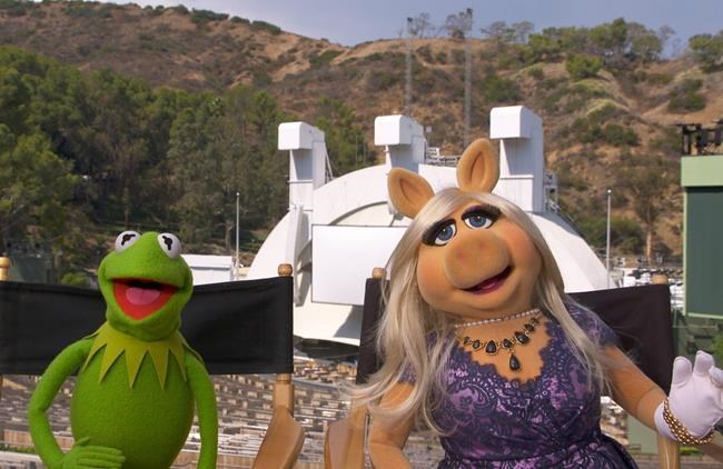 Muppets plan 'strange reunion' at Hollywood Bowl live shows | iNFOnews.ca