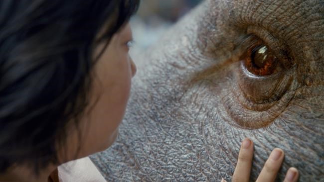 For 'Okja,' growing a GMO pig from page to screen | iNFOnews.ca
