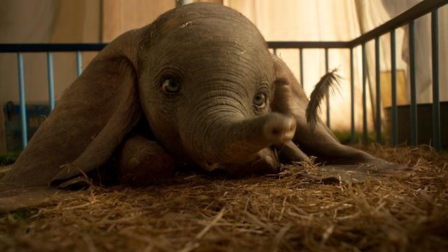 Review: 'Dumbo' remake takes flight on its own charms | iNFOnews.ca Review: 'Dumbo' remake takes flight on its own charms | iNFOnews.ca