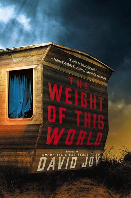 Desperation & tragedy cloak everything in Joy's new novel | iNFOnews.ca