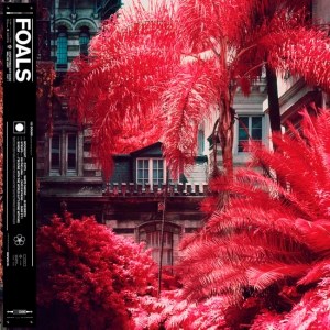 CP526188179