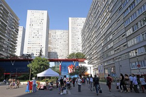 CP24419455
