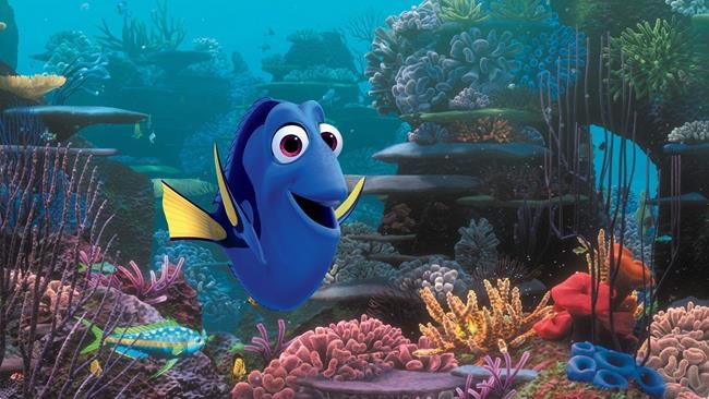 'Finding Dory' blows animation record out of the water | iNFOnews.ca