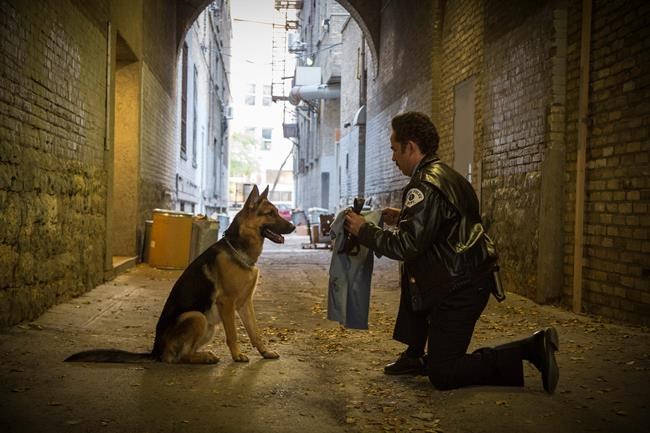 Box Office Top 20: 'A Dog's Purpose' is second to 'Split' | iNFOnews.ca