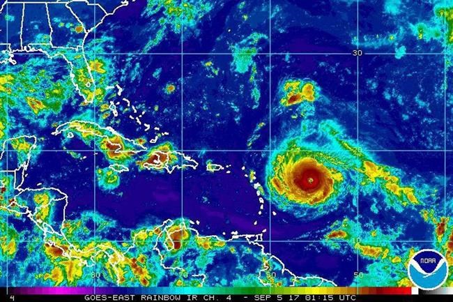 Floridians keep wary eye on Hurricane Irma, buying supplies | iNFOnews.ca