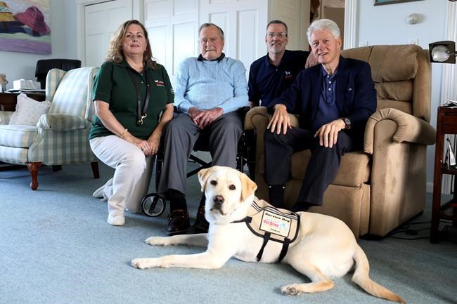 Former President Bush gets a service dog named 'Sully' | iNFOnews.ca