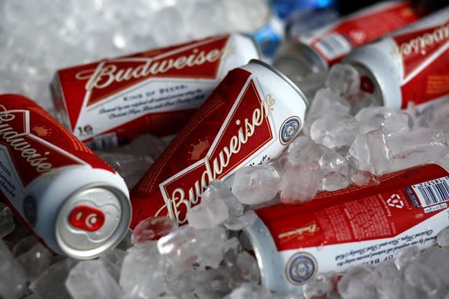 Budweiser maker teams up with Tilray to explore pot drinks | iNFOnews.ca