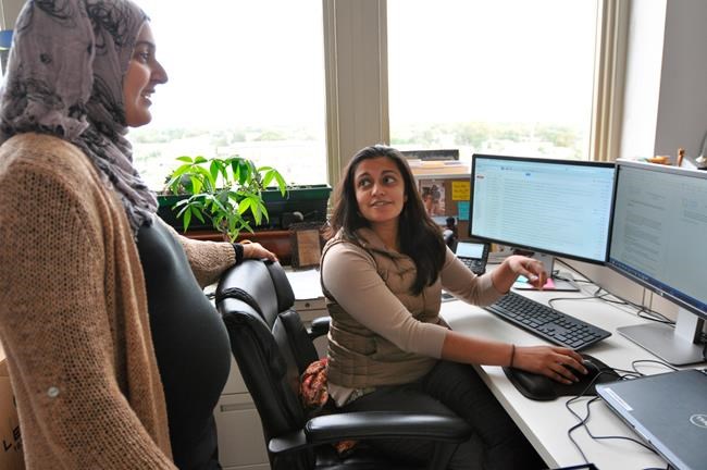 Program meant to curb repeat hospital stays fails big test | iNFOnews.ca