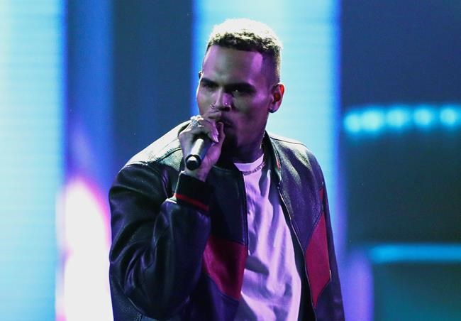 Chris Brown charged with monkey-related misdemeanours | iNFOnews.ca