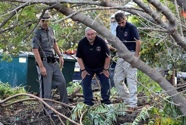 20 dead in crash of limo headed to a birthday celebration | iNFOnews.ca