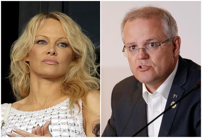 Pamela Anderson calls Australian PM's comments 'smutty' | iNFOnews.ca