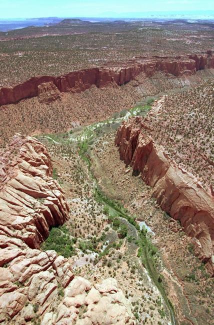 4 US monuments to be scaled back hold artifacts, key habitat | iNFOnews.ca