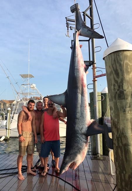 Fishing crew catches 926-pound shark off New Jersey coast | iNFOnews.ca Fishing crew catches 926-pound shark off New Jersey coast | iNFOnews.ca