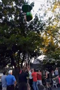 CP2032173388
