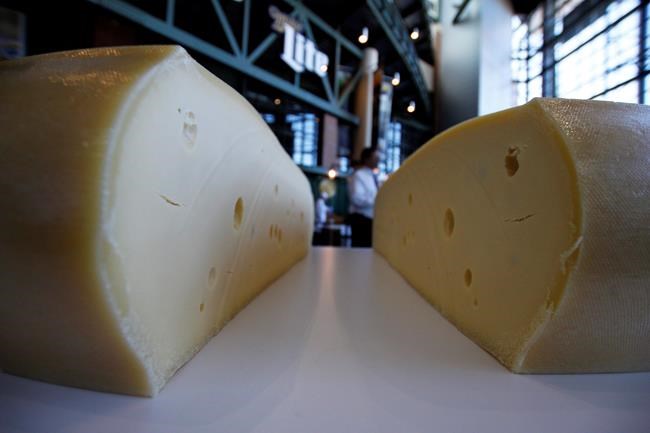 In dairy-obsessed Wisconsin, plan just too 'gouda' to fail | iNFOnews.ca