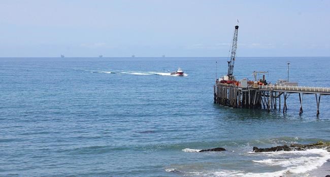 CP1921295431