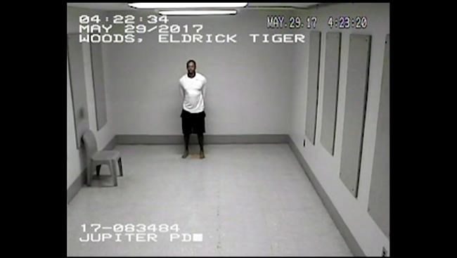 Tiger Woods seen confused, stumbling on police dashcam video | iNFOnews.ca