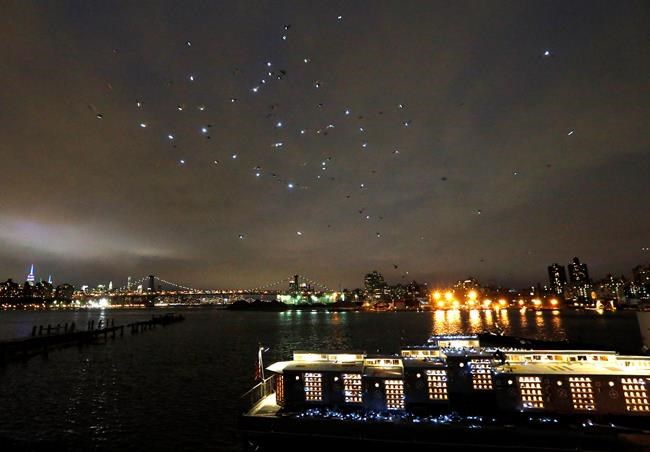 2,000 LED-tagged pigeons stage show in NYC sky | iNFOnews.ca