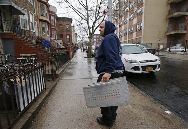 Fire latest blow to NYC area's once-thriving pigeon keepers | iNFOnews.ca CP36977417