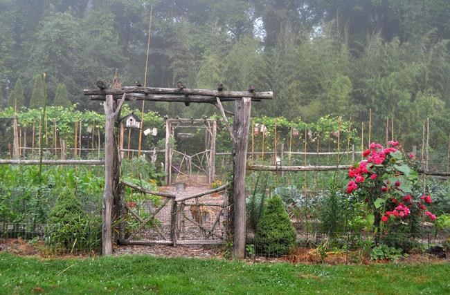 Vegetable gardens can be pretty as well as functional | iNFOnews.ca