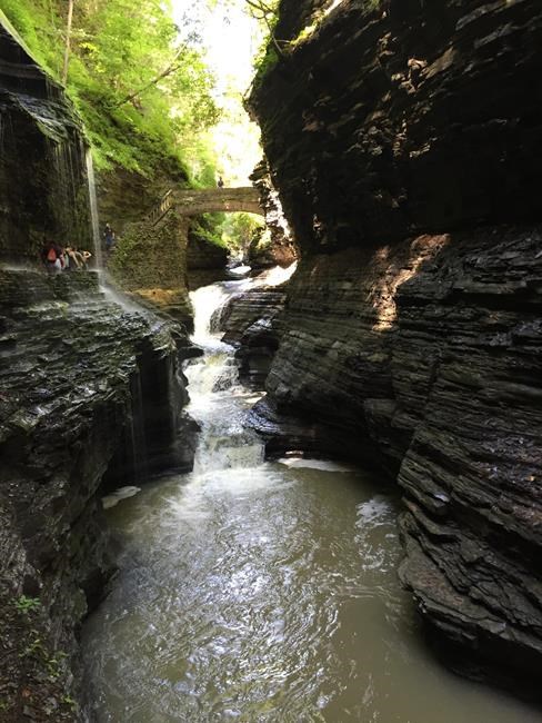 New York wine country: Sips and scenery in the Finger Lakes | iNFOnews.ca