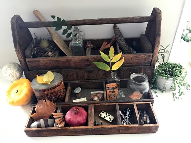 Fall's a great season to create a 'cabinet of curiosities' | iNFOnews.ca Fall's a great season to create a 'cabinet of curiosities' | iNFOnews.ca