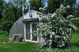 CP20968215