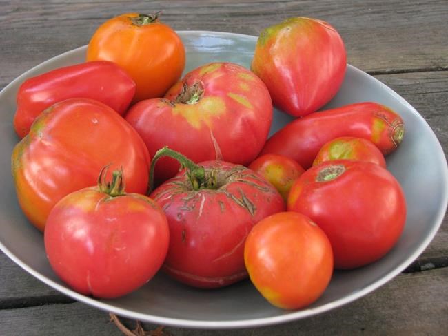 Aphrodisiac plants are as close as the nearest supermarket | iNFOnews.ca Aphrodisiac plants are as close as the nearest supermarket | iNFOnews.ca