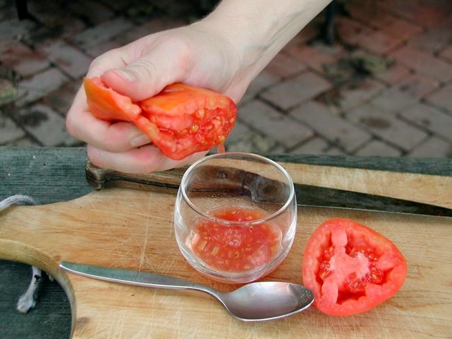 Consider growing some seeds for next year's garden | iNFOnews.ca