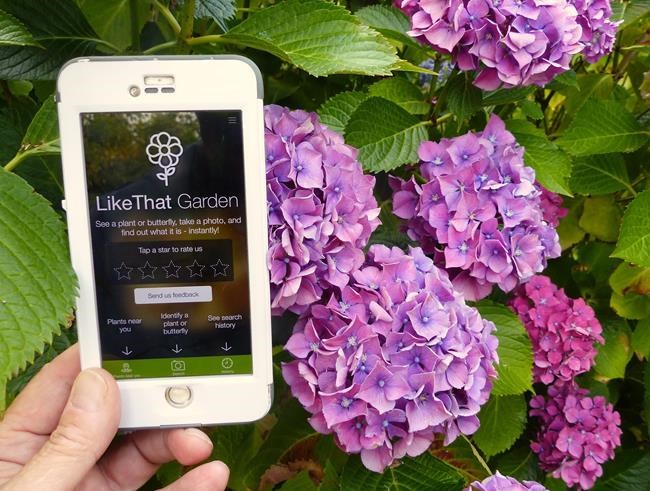 Gardening apps are getting better all the time | iNFOnews.ca