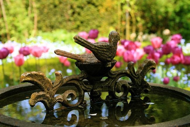Antiques can add personality, focal point to a garden | iNFOnews.ca Antiques can add personality, focal point to a garden | iNFOnews.ca
