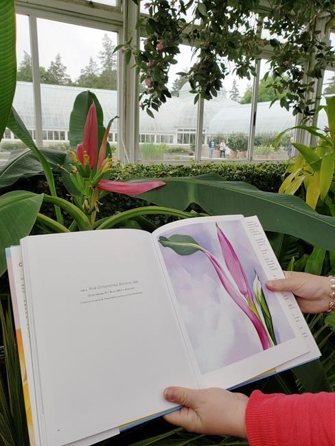 Botanical Garden show highlights O'Keeffe's Hawaii paintings | iNFOnews.ca