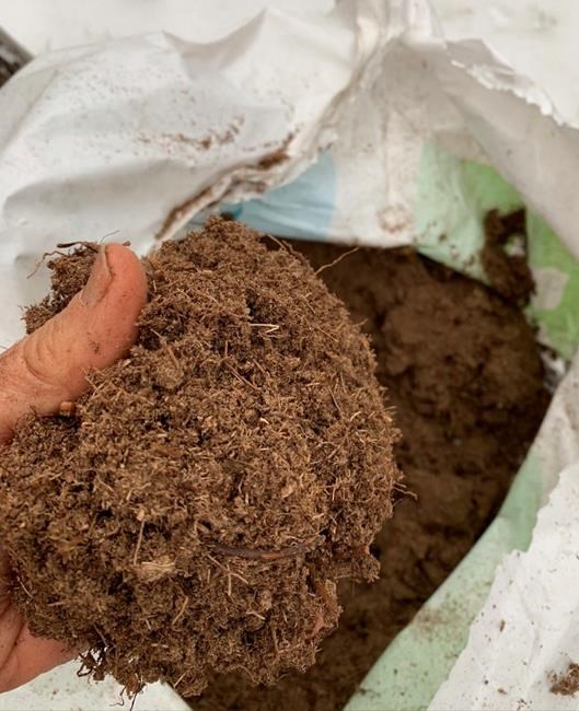 Consider easy, more sustainable alternatives to peat moss | iNFOnews.ca
