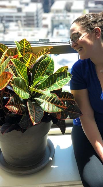 Finding joy indoors in troubled times, one leaf at a time | iNFOnews.ca Finding joy indoors in troubled times, one leaf at a time | iNFOnews.ca