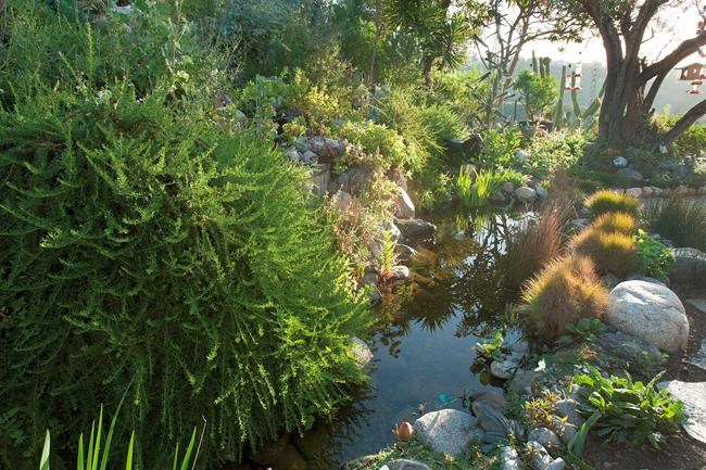 Gottlieb Native Garden: a Southern California oasis | iNFOnews.ca
